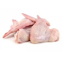  بال و بازو با نوک(شمال)